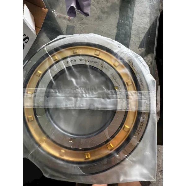 Bạc đạn SGBĐ NF319EM/P6 cho hệ thống truyền động công nghiệp