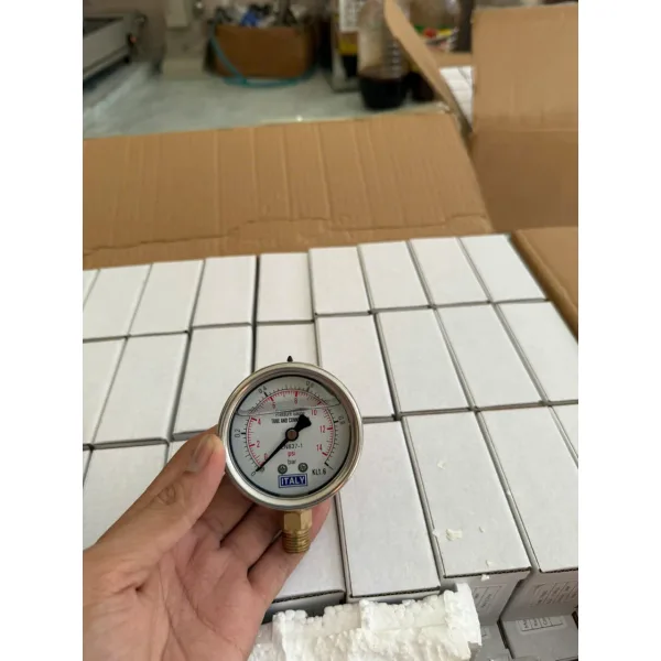 Đồng hồ đo áp suất Italia chân đứng đồng dải đo 0-1 Bar phi 63mm