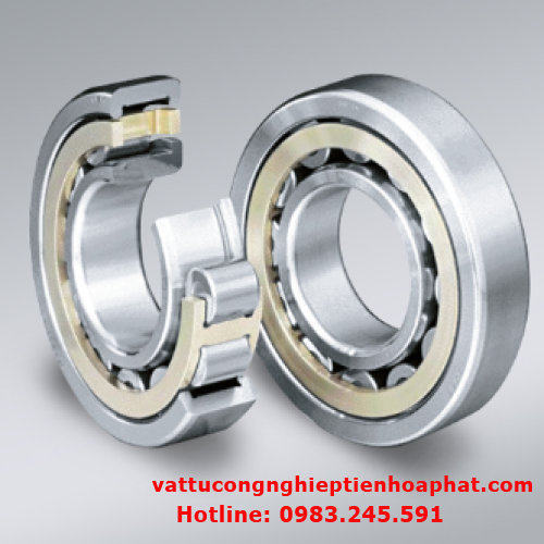 VÒNG BI ĐŨA NU 2310 NSK, BẠC ĐẠN ĐŨA NU 2310 NSK